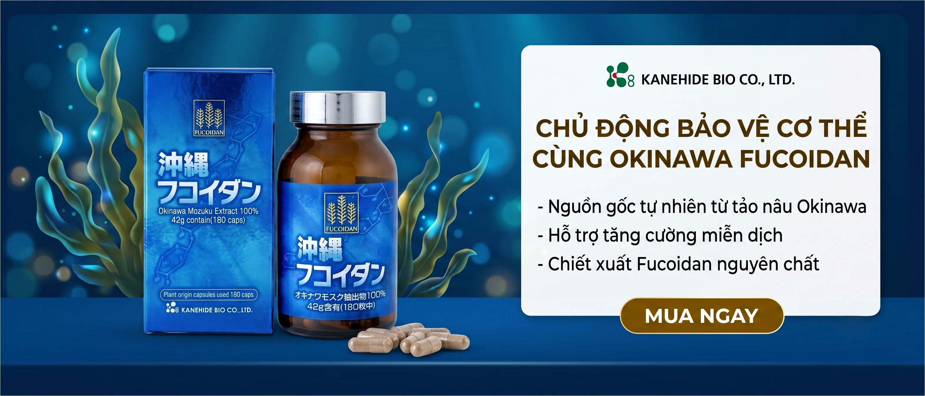 Okinawa Fucoidan Nhật Bản